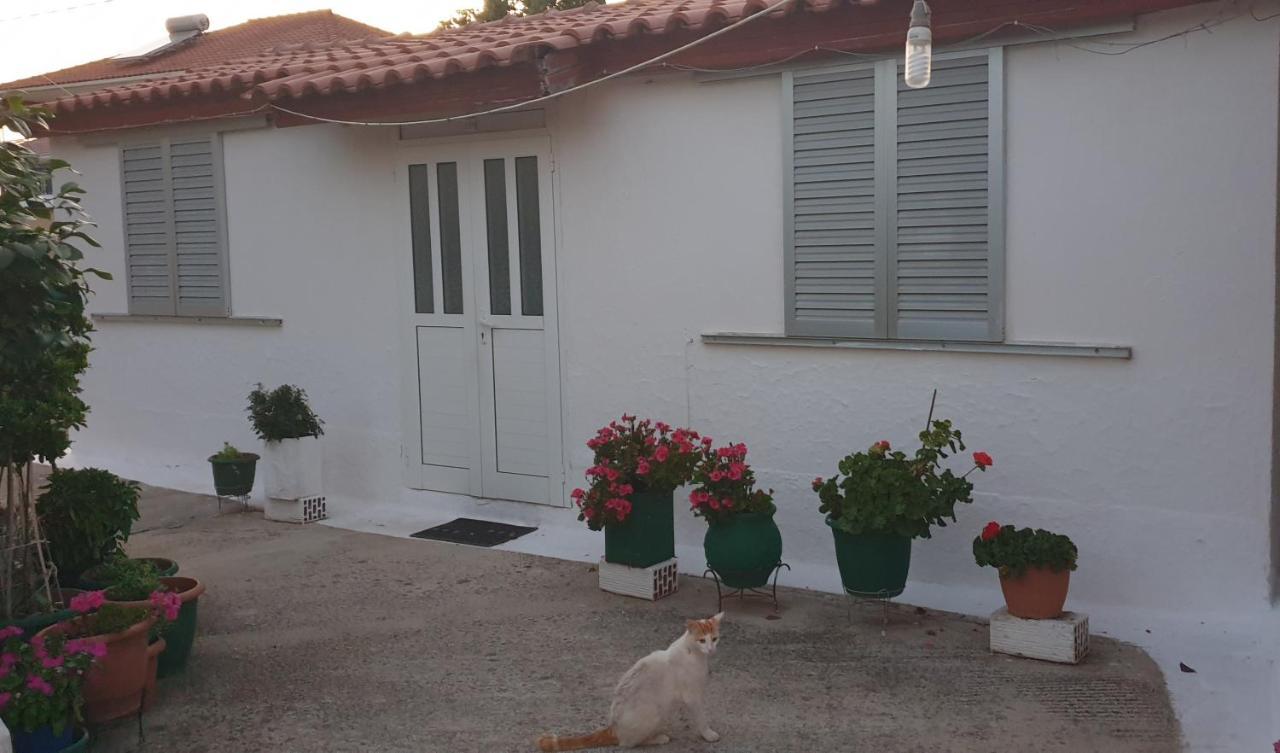 Mitikas Cosy Studio Villa มิทิคาส ภายนอก รูปภาพ