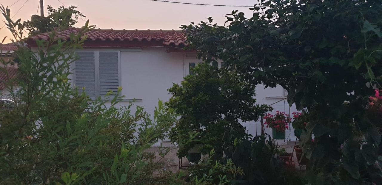 Mitikas Cosy Studio Villa มิทิคาส ภายนอก รูปภาพ